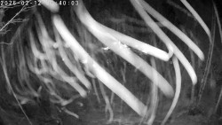 Údolí Dolní Dvůr