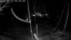 Údolí Dolní Dvůr