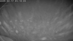 Údolí Dolní Dvůr