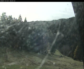 Snímek    31.10.2025 v 13:15