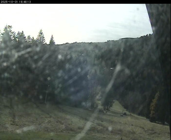 Snímek    31.10.2025 v 13:30