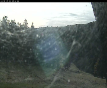 Snímek    31.10.2025 v 14:15