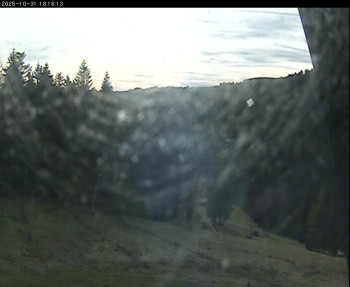 Snímek    31.10.2025 v 15:00