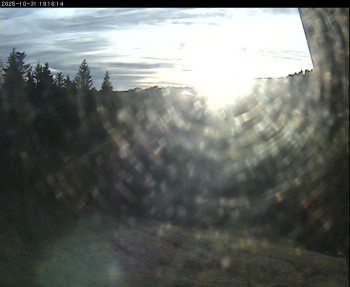 Snímek    31.10.2025 v 16:00