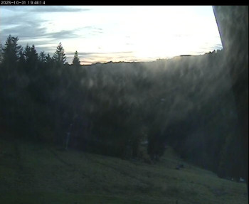 Snímek    31.10.2025 v 16:30