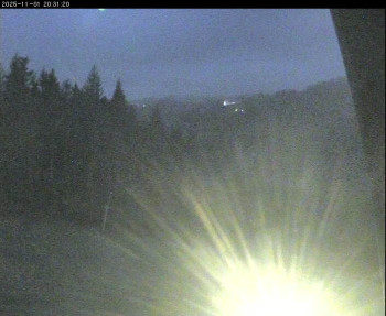 Snímek    1.11.2025 v 17:15