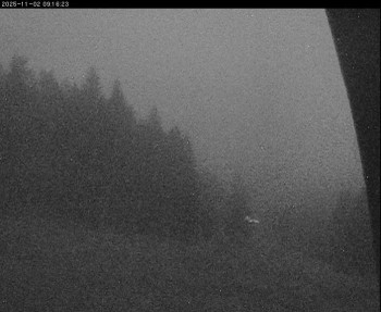 Snímek    2.11.2025 v 06:00