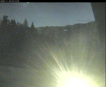 Snímek 4.11.2025 v 19:00