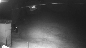 Ski areál Mezihoří Chomutov - Velká sjezdovka - 28.10.2025 v 23:46 Ski areál Mezihoří Chomutov - Velká sjezdovka - 28.10.2025 v 23:46