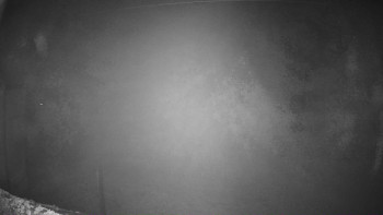 Snímek 8.11.2025 v 03:16