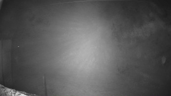 Snímek 8.11.2025 v 05:02