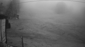 Snímek 8.11.2025 v 06:46