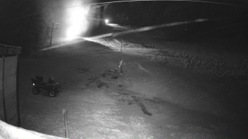 Snímek 24.11.2025 v 00:01