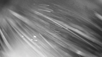 Ski areál Mezihoří Chomutov