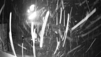 Ski areál Mezihoří Chomutov