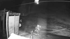 Ski areál Mezihoří Chomutov - Velká sjezdovka - 25.3.2026 v 03:32