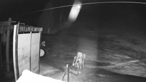 Ski areál Mezihoří Chomutov - Velká sjezdovka - 25.3.2026 v 03:47