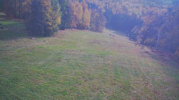 Snímek    1.11.2025 v 13:00