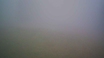 Snímek 8.11.2025 v 07:15