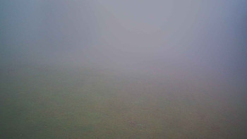 Snímek 8.11.2025 v 08:45