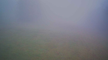 Snímek 8.11.2025 v 09:15