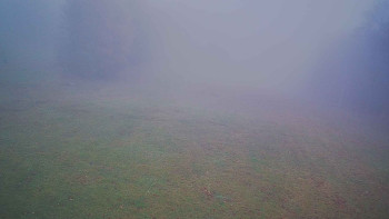 Snímek    11.11.2025 v 07:45