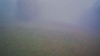 Snímek 13.11.2025 v 10:00