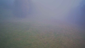 Snímek 15.11.2025 v 13:45