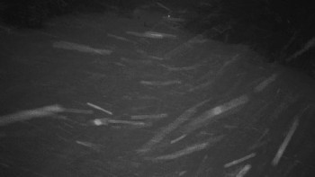 Ski areál Mezihoří Chomutov