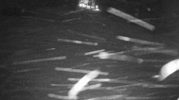 Ski areál Mezihoří Chomutov