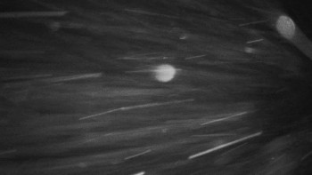 Ski areál Mezihoří Chomutov