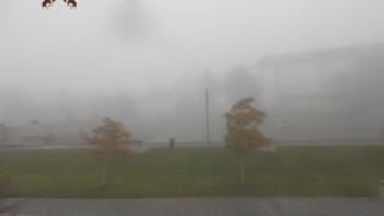 Snímek 8.11.2025 v 07:46