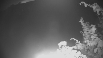 Snímek    3.7.2025 v 03:05