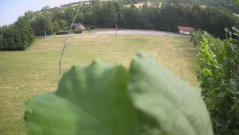 Snímek    4.7.2025 v 08:40
