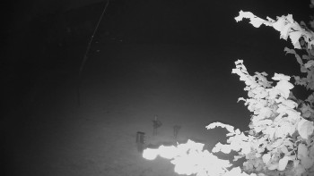 Snímek    12.7.2025 v 23:05