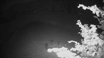 Snímek    14.7.2025 v 03:05