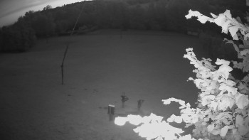 Snímek    16.7.2025 v 04:10