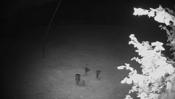 Snímek    13.9.2025 v 03:40