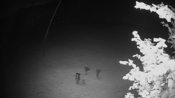 Snímek    13.9.2025 v 21:25