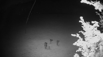 Snímek    13.9.2025 v 21:50