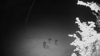 Snímek    14.9.2025 v 00:15