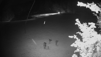Snímek    15.9.2025 v 23:20