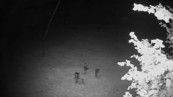 Snímek    17.9.2025 v 04:30