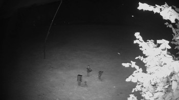 Snímek    17.9.2025 v 05:30