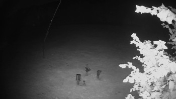 Snímek    17.9.2025 v 23:45