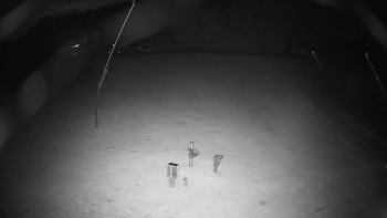 Snímek    17.10.2025 v 19:50