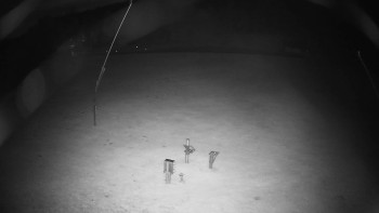 Snímek    18.10.2025 v 04:50