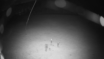 Snímek    19.10.2025 v 03:45