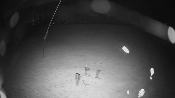 Snímek    20.10.2025 v 04:45