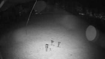 Snímek    25.10.2025 v 19:00